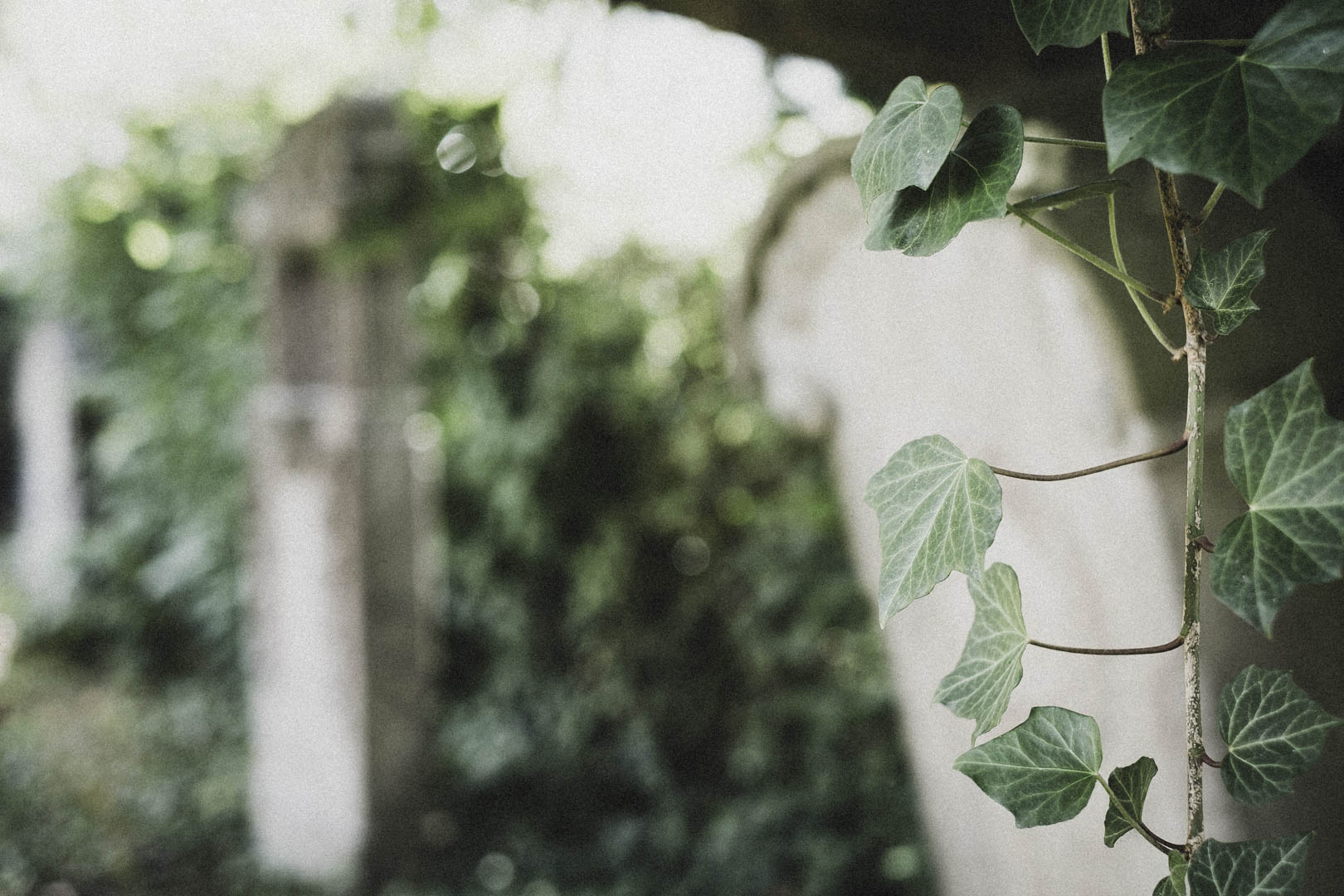 Vlotho, Jüdischer Friedhof
